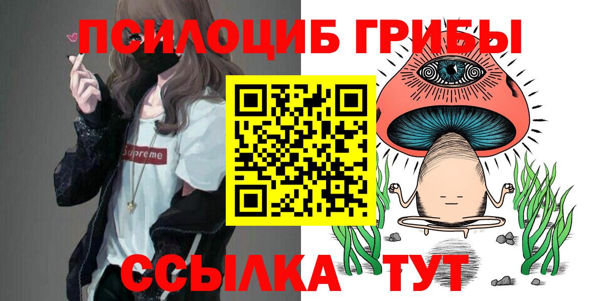 Псилоцибиновые грибы Magic Shrooms  Вход с VPN  купить  цена  Ярославль 