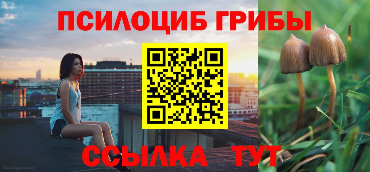 Галлюциногенные грибы Magic Shrooms Ярославль